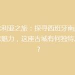 塞维利亚之旅：探寻西班牙南部的古老魅力，这座古城有何独特之处？