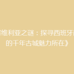 《塞维利亚之谜：探寻西班牙南部的千年古城魅力所在》