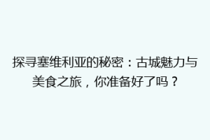 探寻塞维利亚的秘密：古城魅力与美食之旅，你准备好了吗？